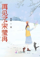 再見了宋瑩冉在線閱讀
