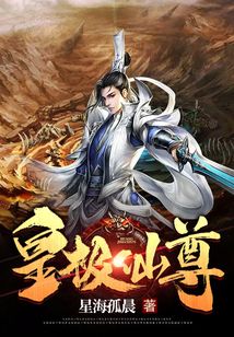 皇极仙尊