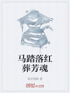 马踏落红葬芳魂在线阅读