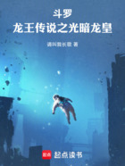 斗罗龙王之光暗龙皇在线阅读