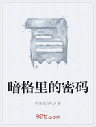 暗格里的密码在线阅读