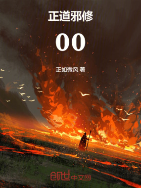 至善邪修在线阅读