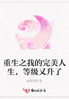 重生之我的完美人生，等級又升了在線閱讀