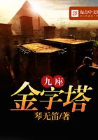 九座金字塔在线阅读
