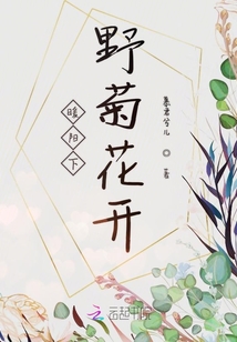暖陽下野菊花開