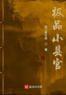 極品小縣官
