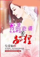 我的老婆是狐貍在線閱讀
