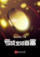 亏成全球首富在线阅读