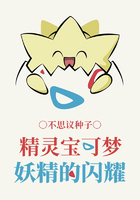 精灵宝可梦:妖精的闪耀