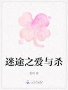 迷途之爱与杀在线阅读