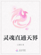 灵魂直通天界在线阅读