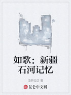如歌:新疆石河记忆在线阅读