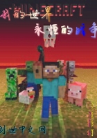 我的世界:永恒的战争在线阅读