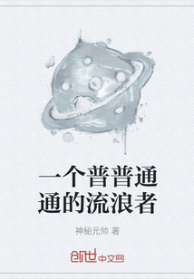 一个普普通通的流浪者