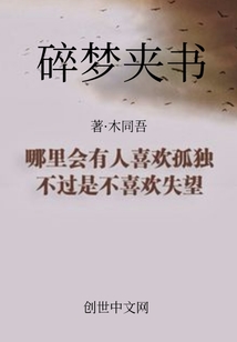 碎夢夾書
