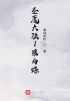 圣魔大陆1狼与蝶在线阅读
