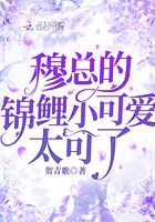 穆總的錦鯉小可愛太可了在線閱讀