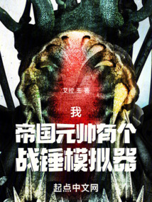 我，帝國元帥，有個戰錘模擬器
