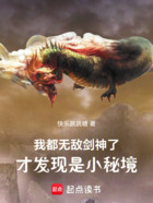 我都无敌剑神了,才发现是小秘境在线阅读