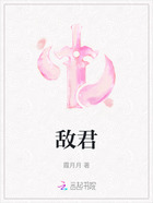 敌君在线阅读