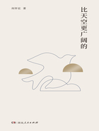 比天空更广阔的在线阅读