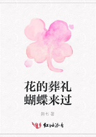 花的葬禮蝴蝶來過在線閱讀