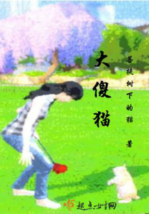 大傻貓