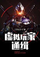 虛擬玩家通緝在線閱讀