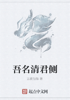 吾名清君侧在线阅读