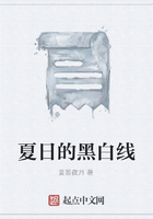 夏日的黑白線在線閱讀