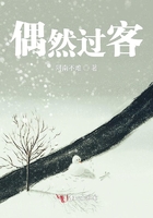 偶然過客在線閱讀