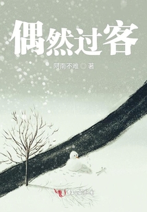 偶然過客
