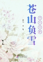 蒼山負雪浮生盡歇在線閱讀