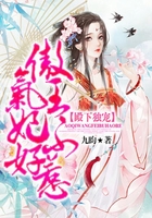 殿下独宠:傲气王妃不好惹