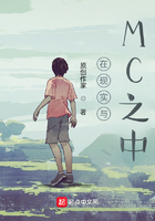 在现实与MC之中