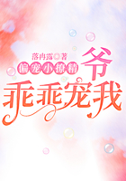 偏寵小撩精：爺，乖乖寵我！在線閱讀