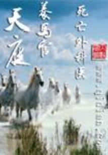 天庭养马官