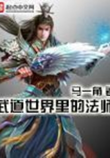 武道世界里的法师 cover