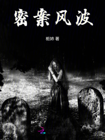 密案風波