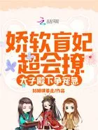 娇软盲妃超会撩,太子殿下争宠急在线阅读