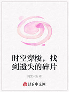 时空穿梭,找到遗失的碎片在线阅读
