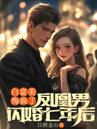 凤凰男闪婚七年后,白富美悔疯了在线阅读