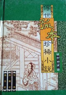 轰天雷(传世孤本珍稀小说)