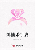 缉捕杀手妻