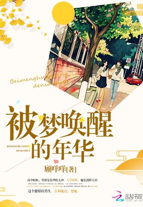 被梦唤醒的年华在线阅读