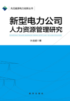 新型電力公司人力資源管理研究在線閱讀