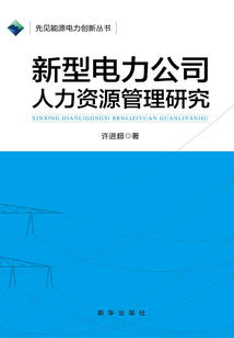新型電力公司人力資源管理研究