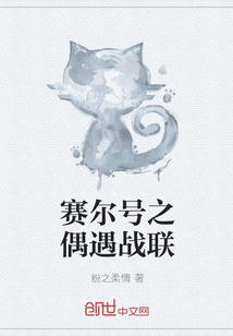 賽爾號之偶遇戰聯
