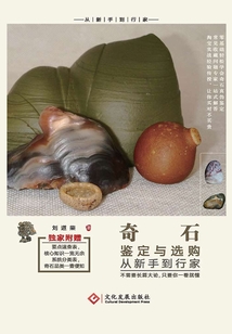 奇石鑒定與選購從新手到行家