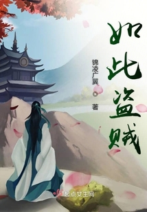 如此盜賊